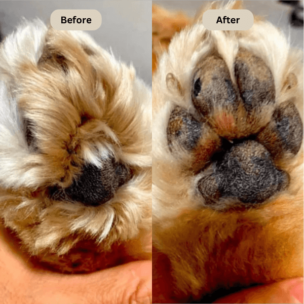 Trendora™ Electric Fur Trimmer