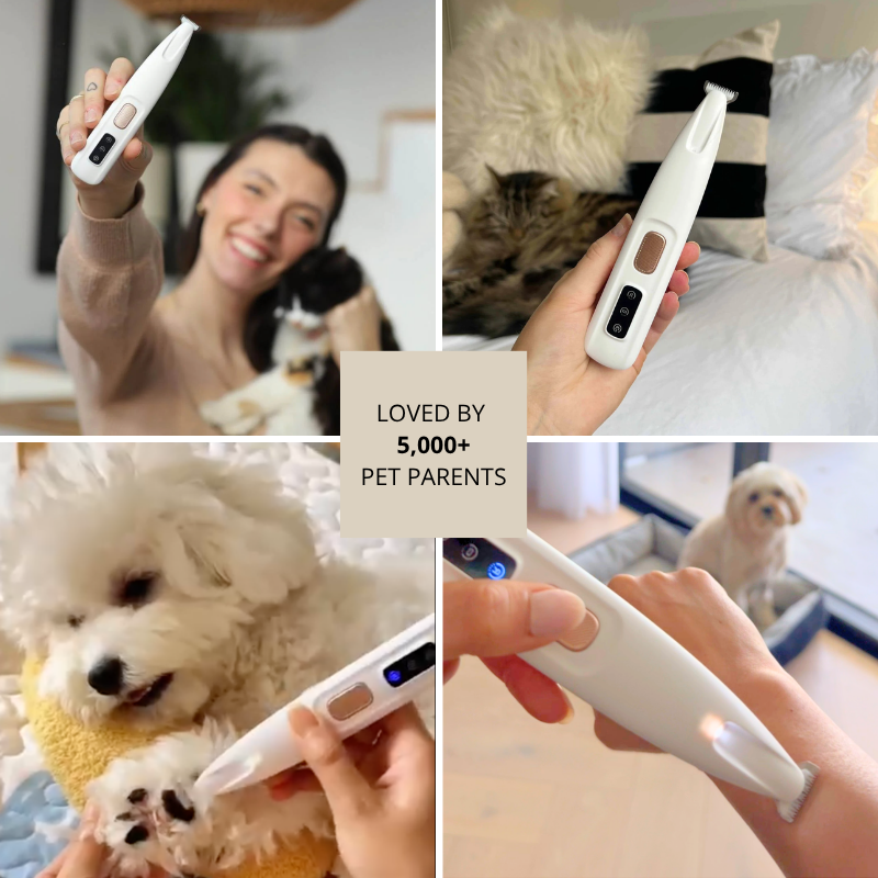 Trendora™ Electric Fur Trimmer